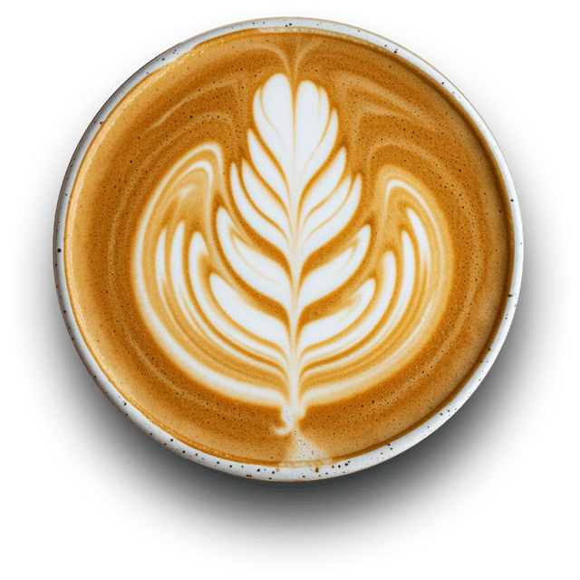 Grilled Chicken Breast